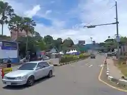 Lalin di Puncak Bogor Padat, Penyelarasan One Way Menuju Jakarta Mulai Diterapkan Siang Ini